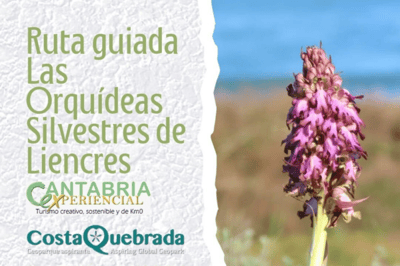 RUTA_ORQUÍDEAS_LIENCRES_CANTABRIA