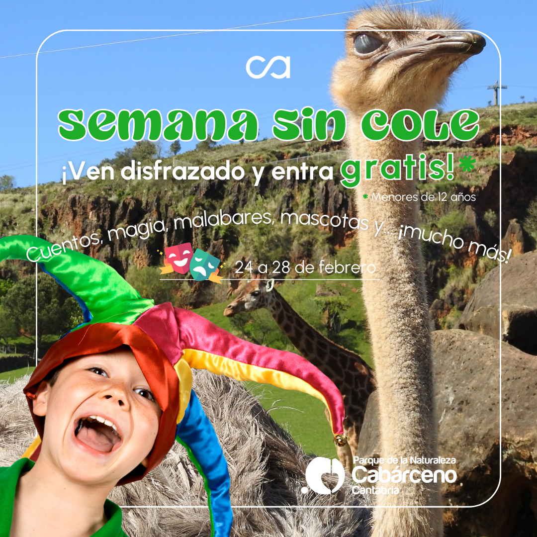 SEMANA_SIN_COLE_PARQUE_CABÁRCENO